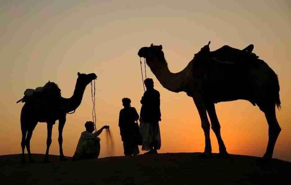 The Mama'S Resort & Camp Jaisalmer Bagian luar foto